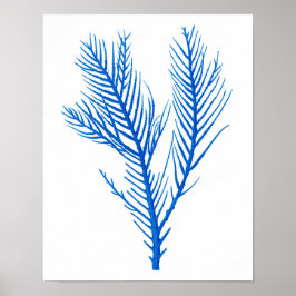 Blue Sea Coral Print #10 Beach Home Decor ポスター