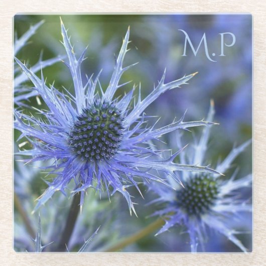Blue Sea Holly Thistle Monogram ガラスコースター (正面)