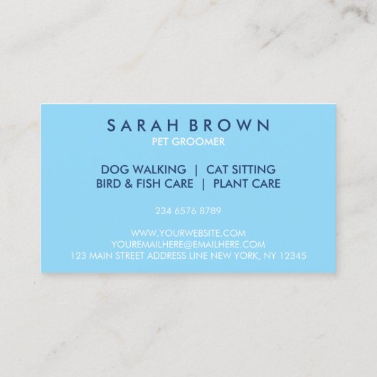 Blue Shark Fish | Baby Sitter Care 名刺 (裏面)