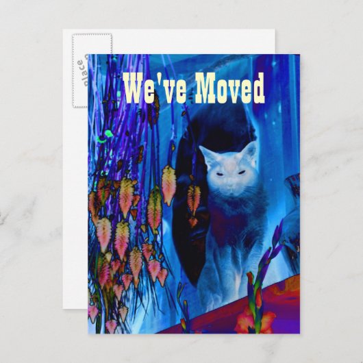 Blue Siamese Cat新しい住所はがき 案内ポストカード (正面/裏面)