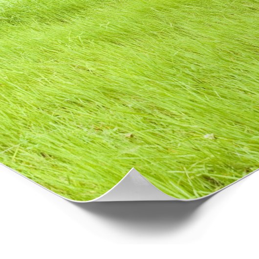 Blue sky and field of grass ポスター (角)