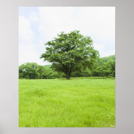 Blue sky and field of grass ポスター (正面)