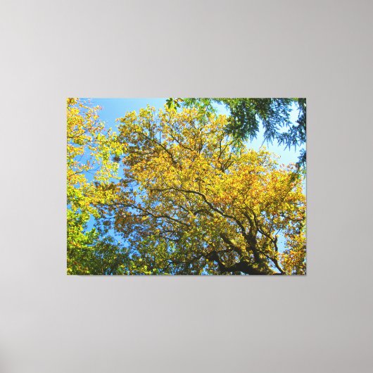 Blue Sky & Autumn Foliage - キャンバスプリント (正面)