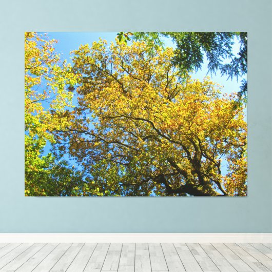 Blue Sky & Autumn Foliage - キャンバスプリント (インサイチュ (ウッドフロア))