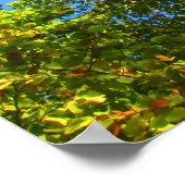 Blue Sky & Autumn Foliage - Personalised ポスター (角)