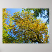Blue Sky & Autumn Foliage - Personalised ポスター (正面)