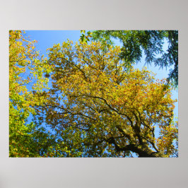 Blue Sky & Autumn Foliage - Personalised ポスター