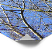 Blue Sky , Trees in Winter ポスター (角)