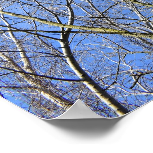 Blue Sky , Trees in Winter ポスター (角)