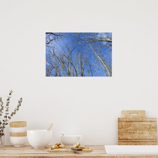 Blue Sky , Trees in Winter ポスター (キッチン)