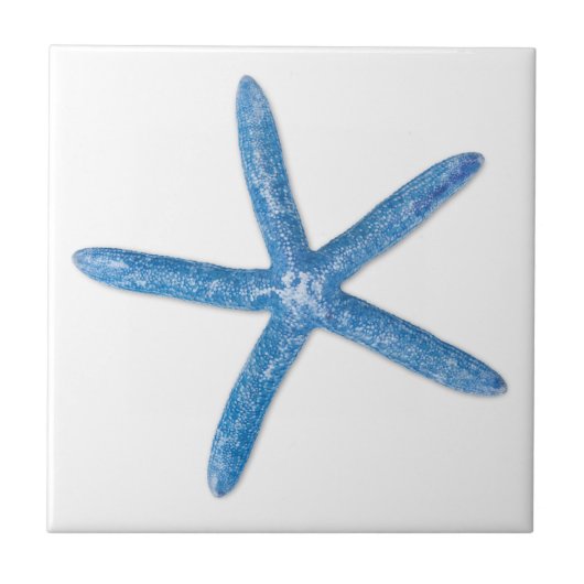 Blue Starfish タイル (正面)