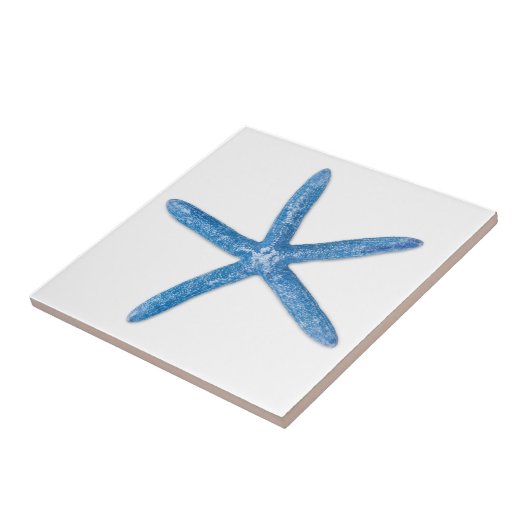 Blue Starfish タイル (側面)