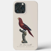 Blue-Streaked Lory, Trichoglossus reticulatus Case-Mate iPhoneケース (裏面)