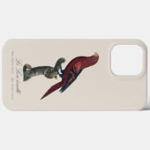 Blue-Streaked Lory, Trichoglossus reticulatus Case-Mate iPhoneケース (裏面 (横))