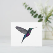 Blue-throated starfrontlet ポストカード (スタンド正面)