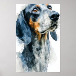 Blue tick coon hound portrait ポスター