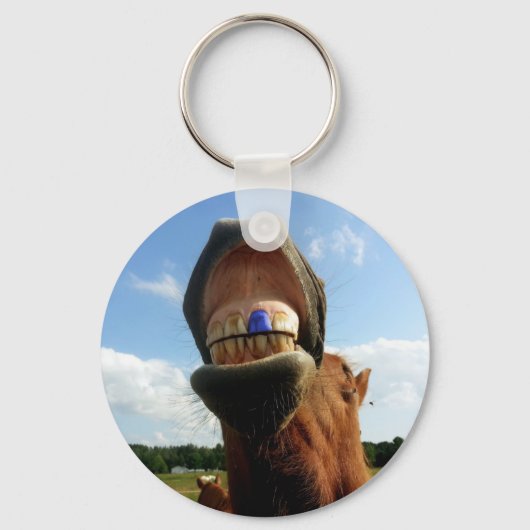 blue tooth対応ホース キーホルダー (正面)