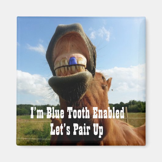blue tooth対応ホース マグネット (正面)
