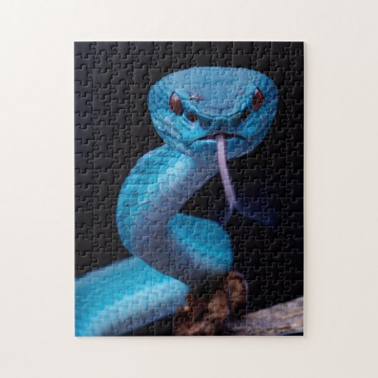 Blue viper snake 252 piece Puzzle ジグソーパズル (縦)