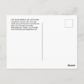 Blue Whale of Catoosa Route 66 Postcard ポストカード (裏面)