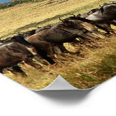 Blue wildebeest (gnu)移行ポスター，プリント, pic ポスター (角)