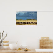 Blue wildebeest (gnu)移行ポスター，プリント, pic ポスター (キッチン)