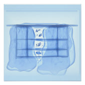 Blue window. ポスター (正面)