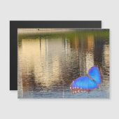 Blue Wing Reflection マグネット招待状 (正面/裏面)