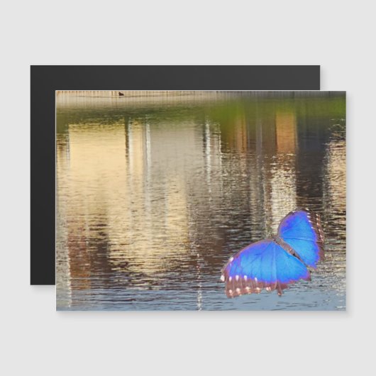 Blue Wing Reflection マグネット招待状 (正面/裏面)