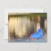 Blue Wing Reflection マグネット招待状 (正面)