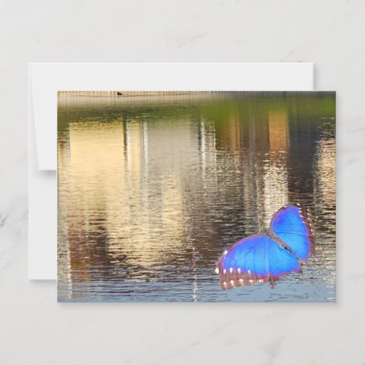 Blue Wing Reflection マグネット招待状 (正面)