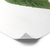 Blue-winged Yellow Warbler Audubon Birds America ポスター (角)