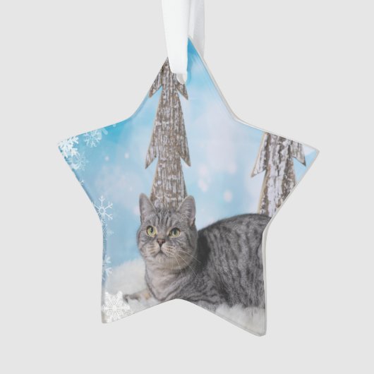 Blue XMAS 2018 オーナメント (正面)