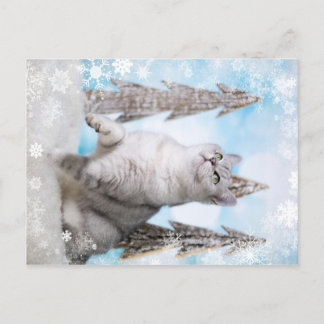 Blue XMAS 2018 シーズンポストカード