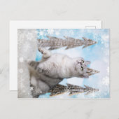 Blue XMAS 2018 シーズンポストカード (正面/裏面)