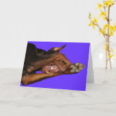 bluebaron カード (黄色い花)