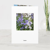 Bluebellの写真/詳細-春2016カード カード (裏面)