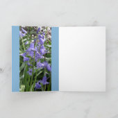 Bluebellの写真/詳細-春2016カード カード (内部)
