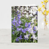Bluebellの写真/詳細-春2016カード カード (黄色い花)