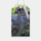 Bluebell ギフトタグ (正面)