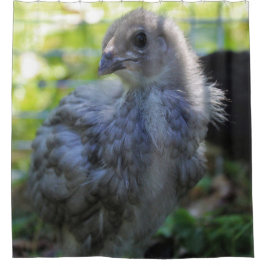 Bluebell シャワーカーテン