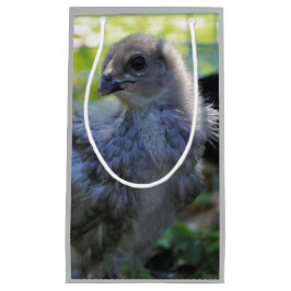 Bluebell スモールペーパーバッグ