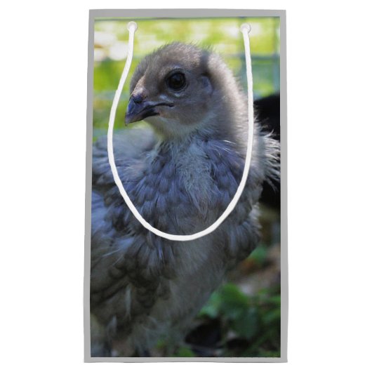 Bluebell スモールペーパーバッグ (正面)