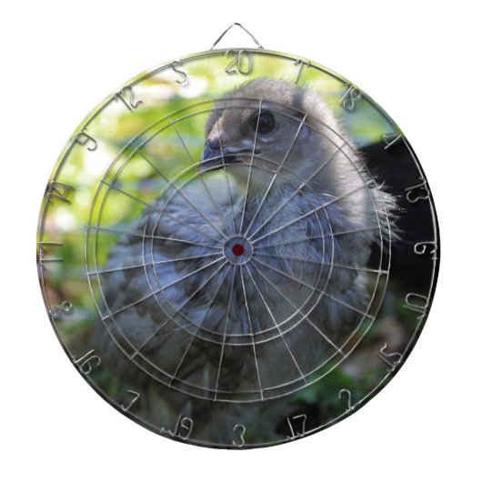 Bluebell ダーツボード (正面)