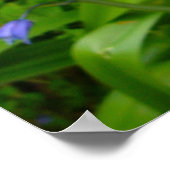 BLUEBELL~ポスター ポスター (角)