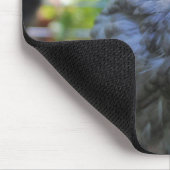 Bluebell マウスパッド (コーナー)