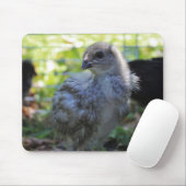 Bluebell マウスパッド (マウス)