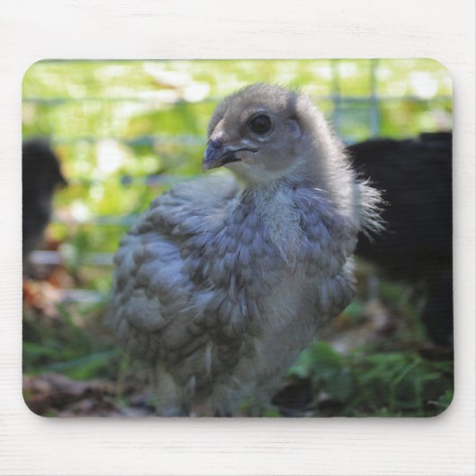 Bluebell マウスパッド (正面)