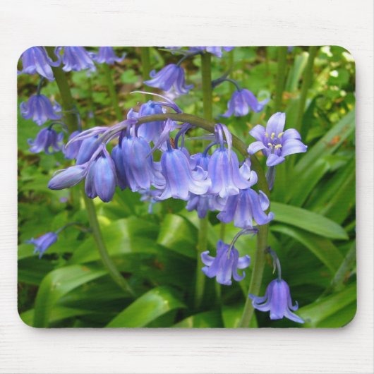 BLUEBELL ～マウスパッド3 マウスパッド (正面)