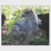 Bluebell ラッピングペーパー (フラット)